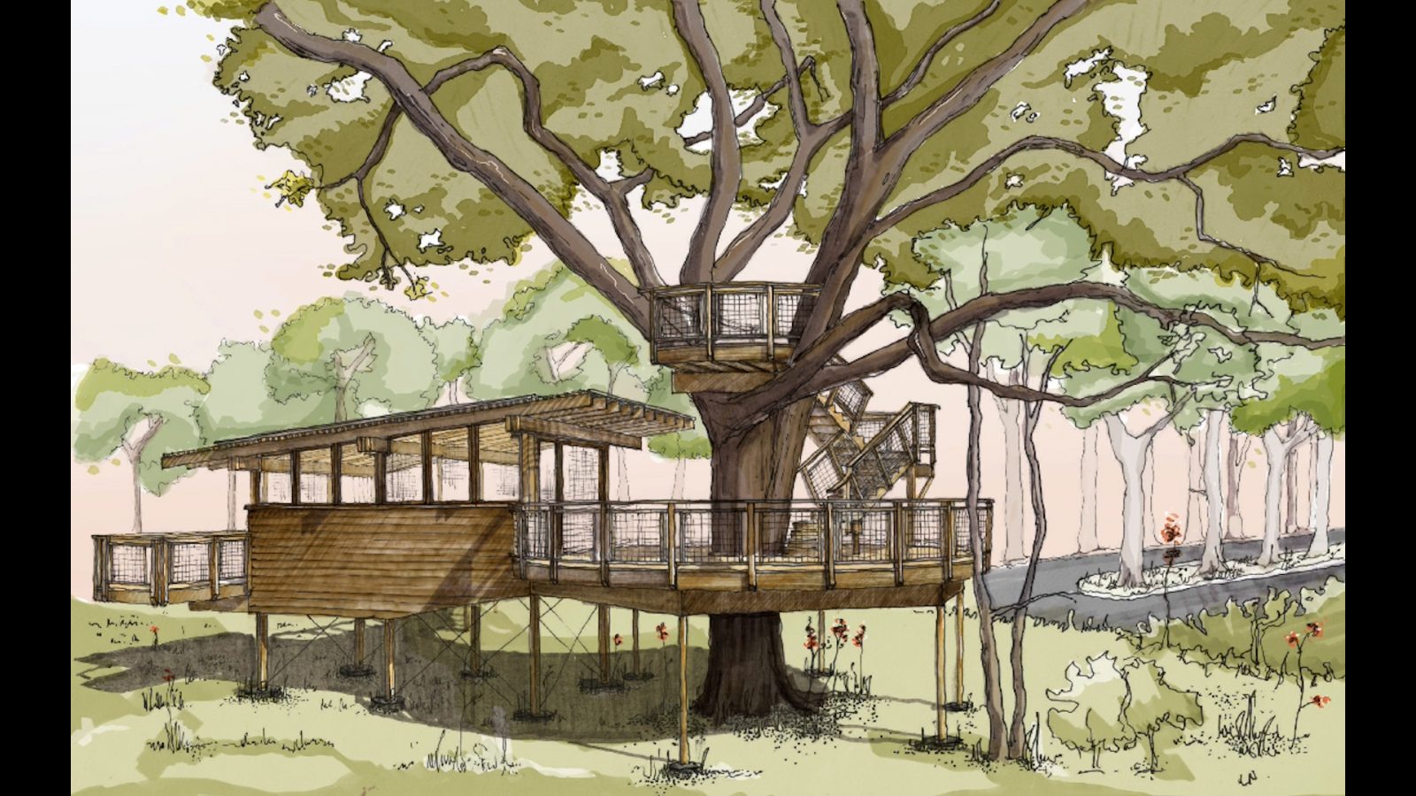 Solterra Treehouse