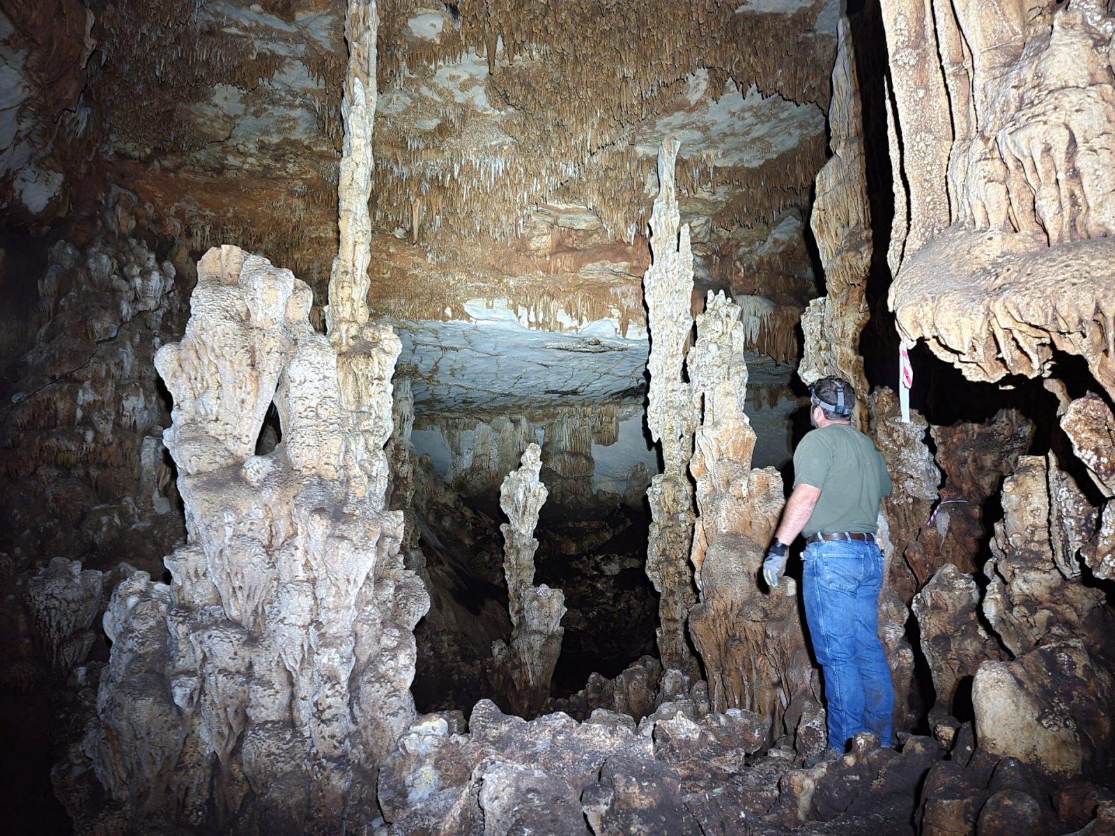 Geological Assessments