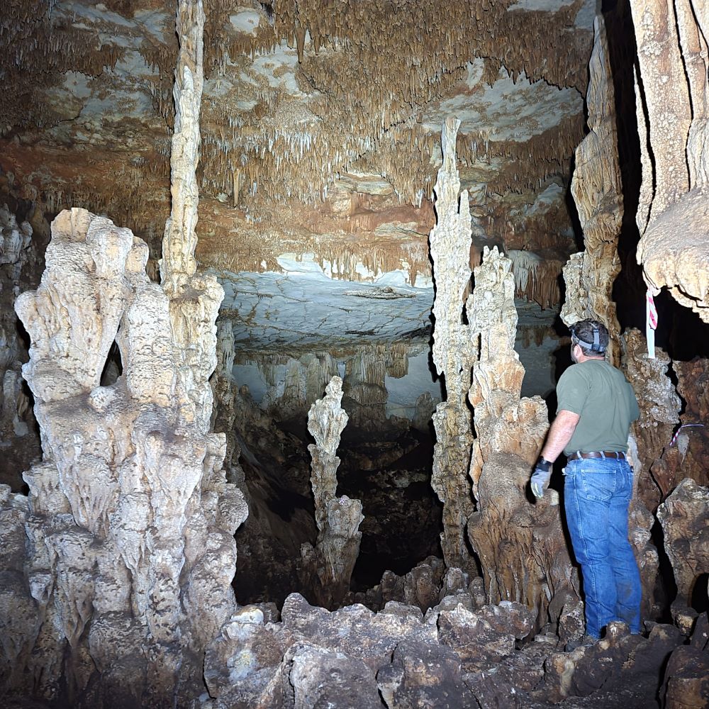 Environmental Services