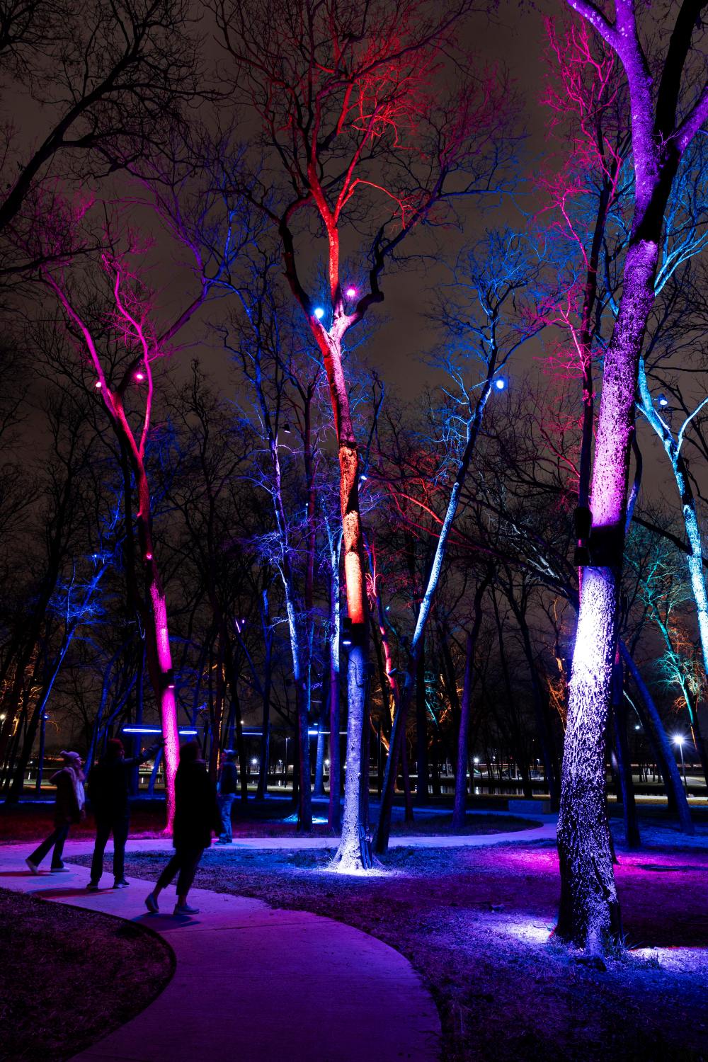 LandDevelopment_LightWalk_Texas